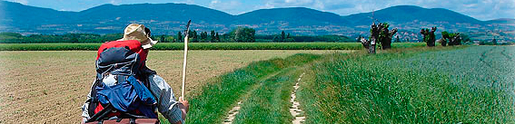 Pilgern auf dem Jakobsweg Pilgern auf dem Jakobsweg